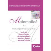 Matematică M1 - Manual pentru clasa a XI-a